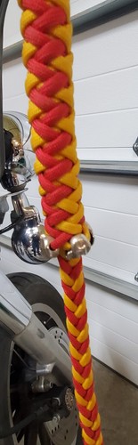 Get back whip - back, yellow
