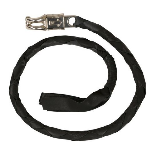 Biker whip motorcycle get - whip, back